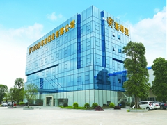 Company profile 
